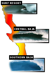 Baja Surf Trips